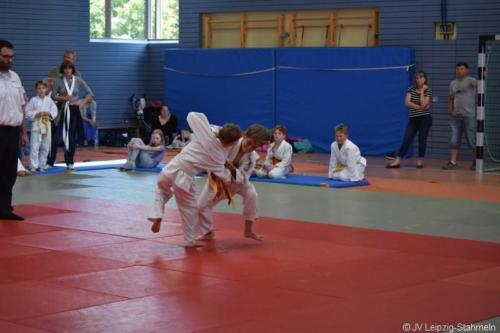 20180527 Eilenburg (12)