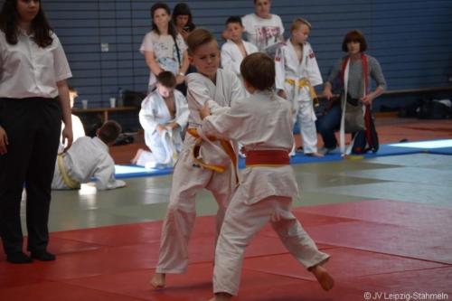 20180527 Eilenburg (24)