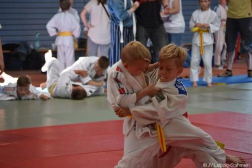 20180527 Eilenburg (26)