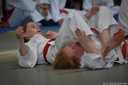 20180527 Eilenburg (39)