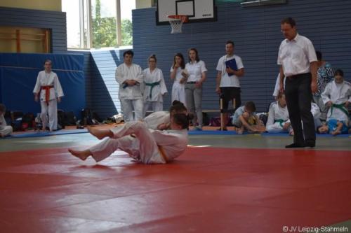 20180527 Eilenburg (49)