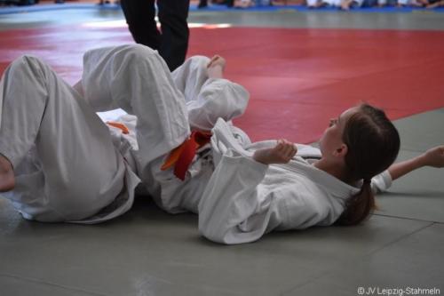 20180527 Eilenburg (50)