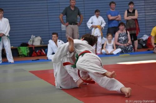 20180527 Eilenburg (53)