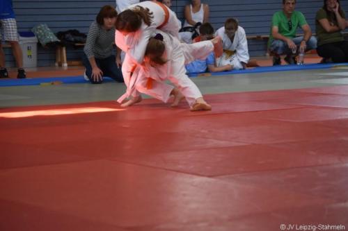 20180527 Eilenburg (56)