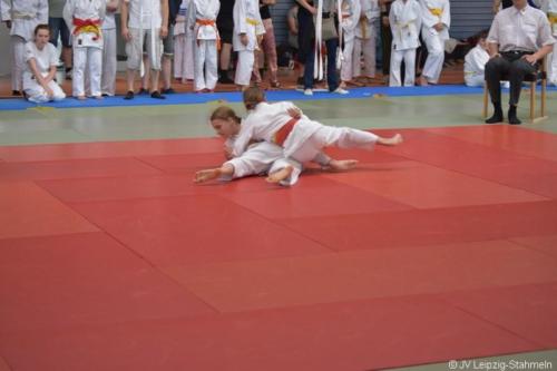 20180527 Eilenburg (70)