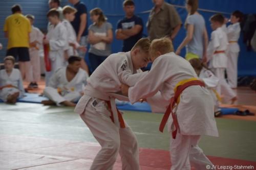 20180527 Eilenburg (74)