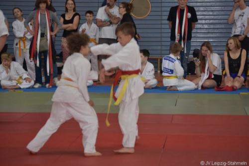 20180527 Eilenburg (77)