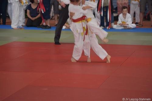 20180527 Eilenburg (78)