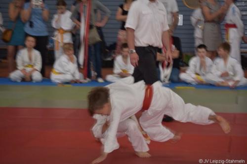 20180527 Eilenburg (80)