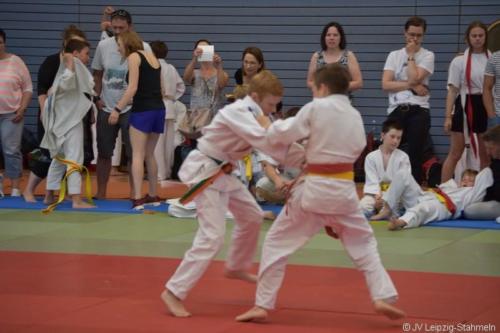 20180527 Eilenburg (81)