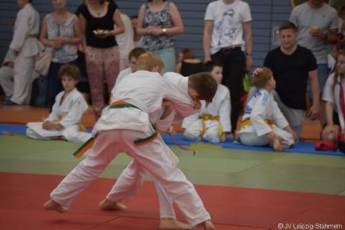 20180527 Eilenburg (82)