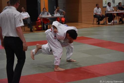 20190615 Lipsiade 2019 (37)