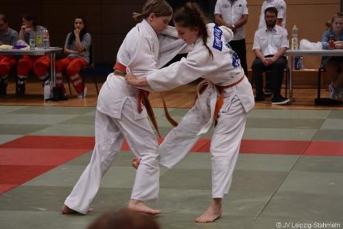 20190616 Lipsiade 2019 (19)