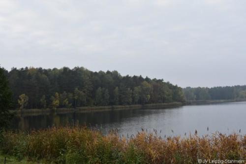 20201031 1 (15)