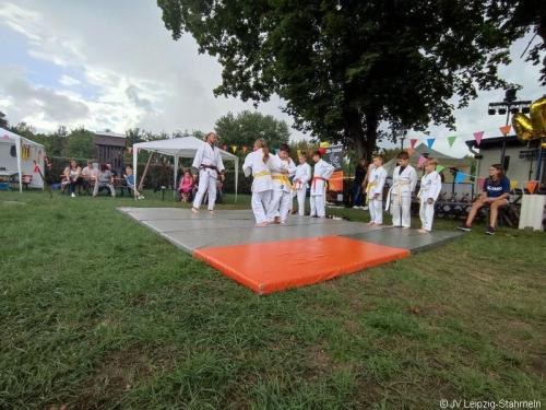 Bild7