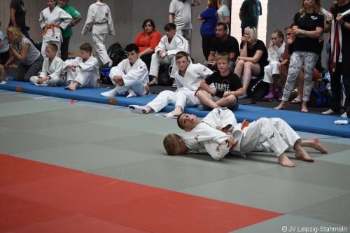DSC 0025 ji
