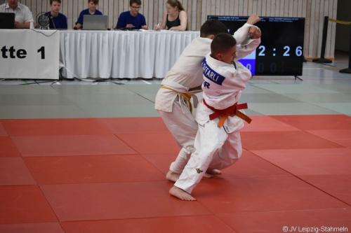 DSC 0029 ji