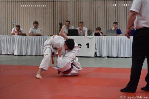 DSC 0042 ji