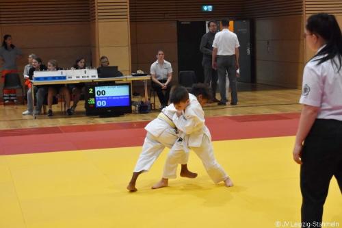 DSC 0117 ji