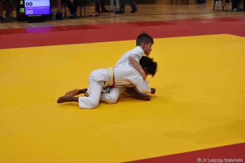 DSC 0121 ji
