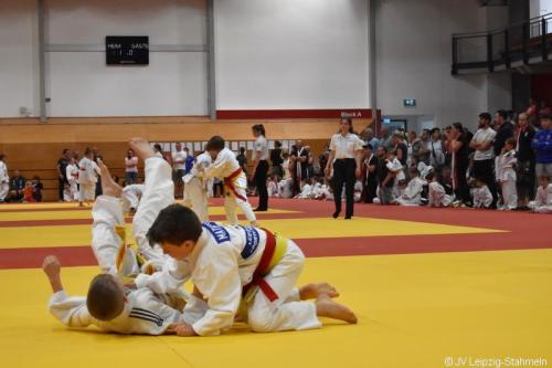 DSC 0226 ji