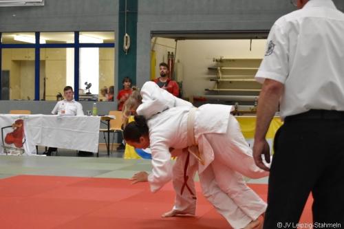 DSC 0018 ji