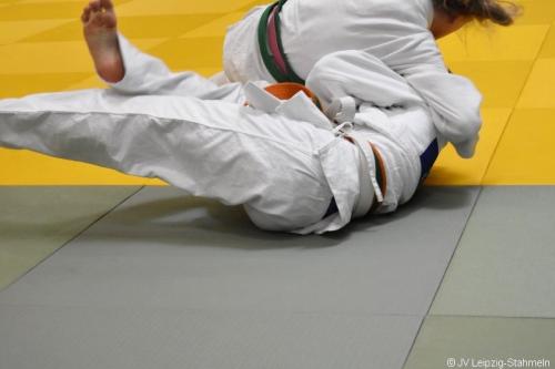 DSC 0026 ji