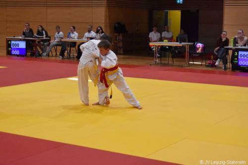 DSC 0071 ji