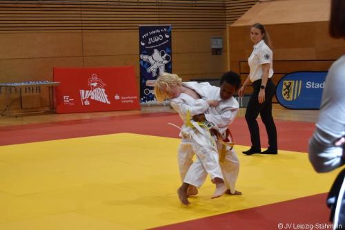 DSC 0170 ji