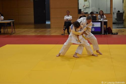 DSC 0352 ji