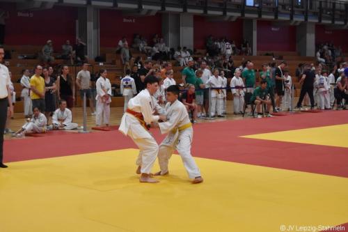 DSC 0398 ji