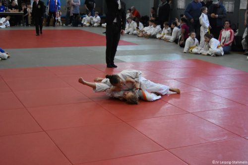 DSC 0065