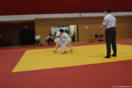 DSC 0015 ji