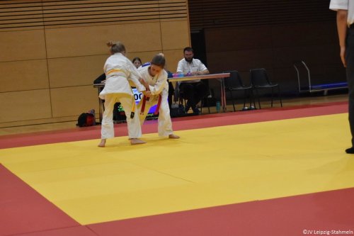 DSC 0104 ji