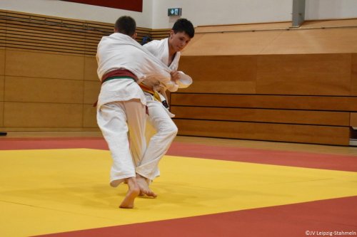 DSC 0353 ji