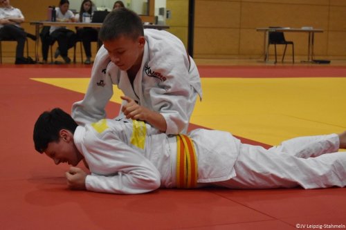 DSC 0354 ji