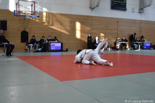 DSC 0013 ji