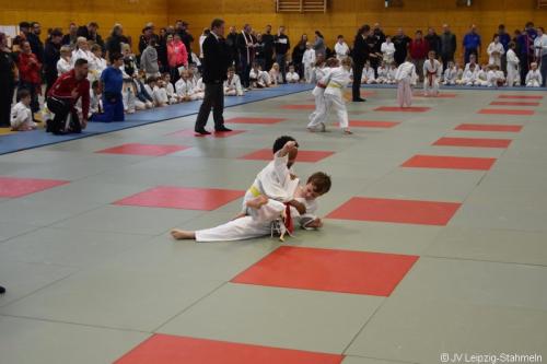 DSC 0008 ji