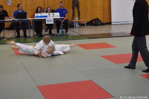 DSC 0010 ji