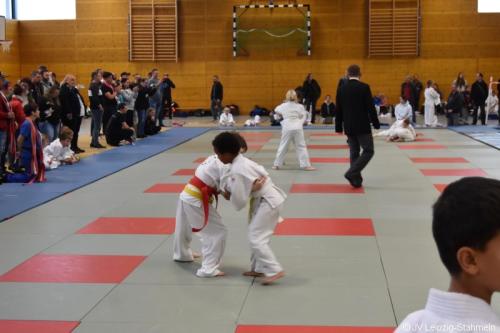 DSC 0020 ji
