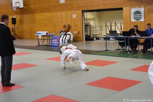 DSC 0022 ji