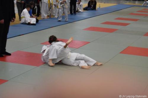 DSC 0026 ji