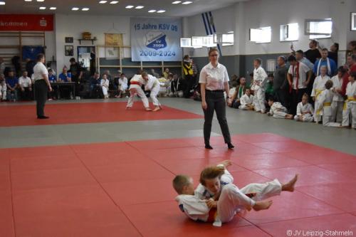 DSC 0016 ji