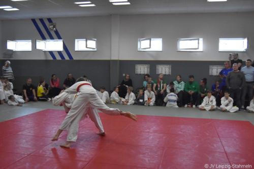 DSC 0021 ji