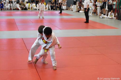 DSC 0021 ji