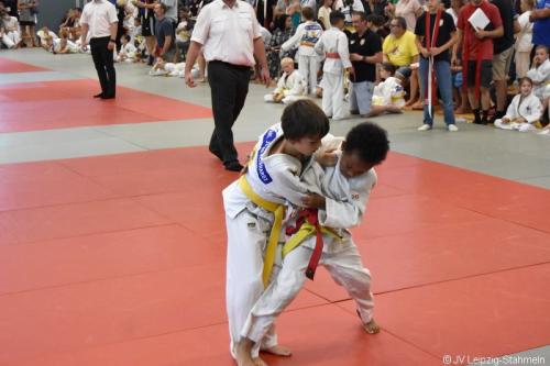 DSC 0029 ji