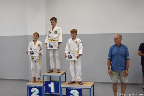 DSC 0211 ji